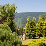 Hotel баймонт *
