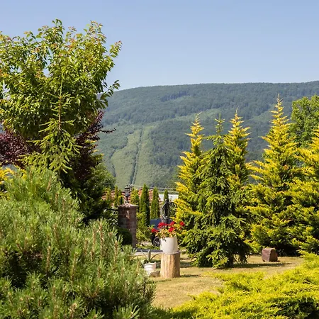 Hotel баймонт *